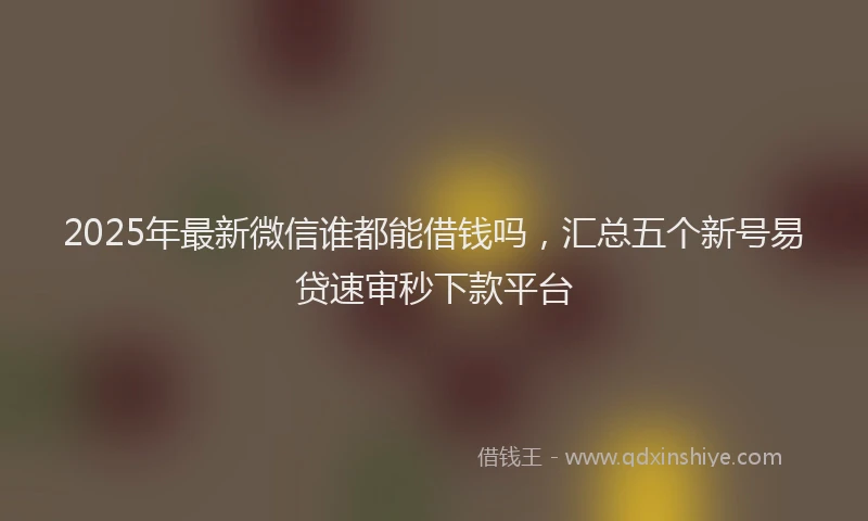 2025年最新微信谁都能借钱吗，汇总五个新号易贷速审秒下款平台