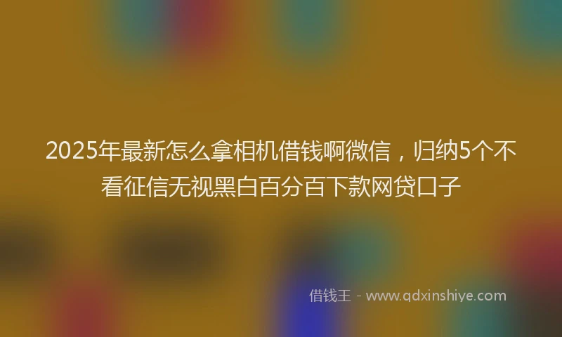 2025年最新怎么拿相机借钱啊微信，归纳5个不看征信无视黑白百分百下款网贷口子