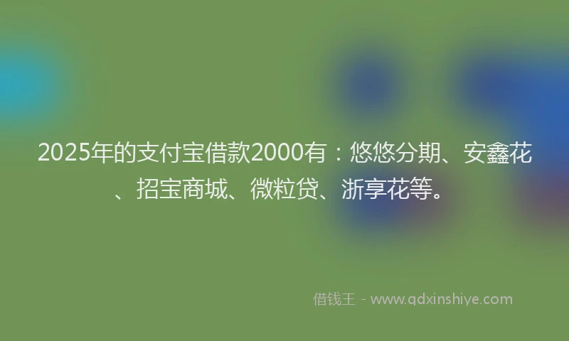 2025年的支付宝借款2000有：悠悠分期、安鑫花、招宝商城、微粒贷、浙享花等。