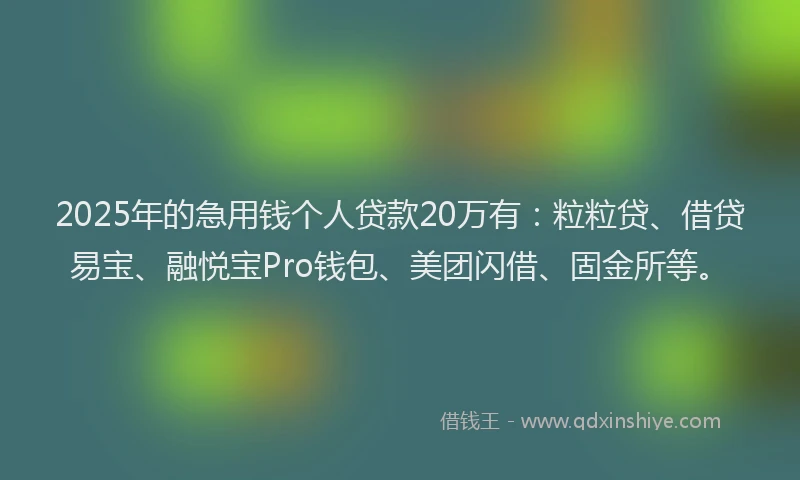 2025年的急用钱个人贷款20万有：粒粒贷、借贷易宝、融悦宝Pro钱包、美团闪借、固金所等。