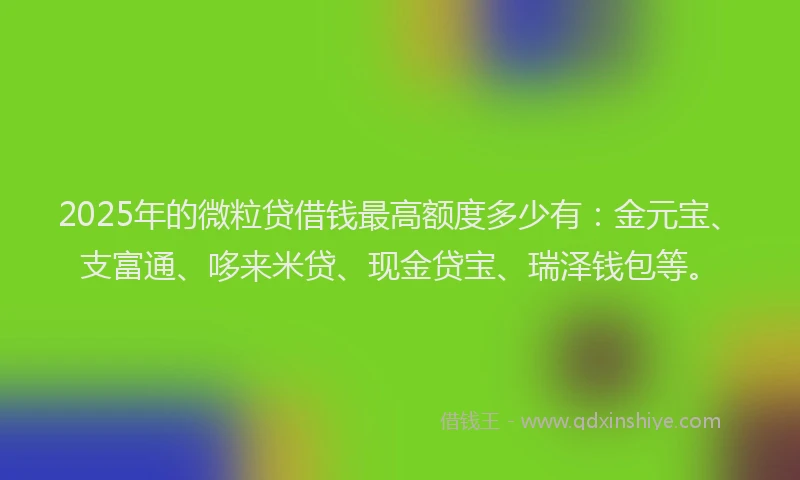 2025年的微粒贷借钱最高额度多少有：金元宝、支富通、哆来米贷、现金贷宝、瑞泽钱包等。