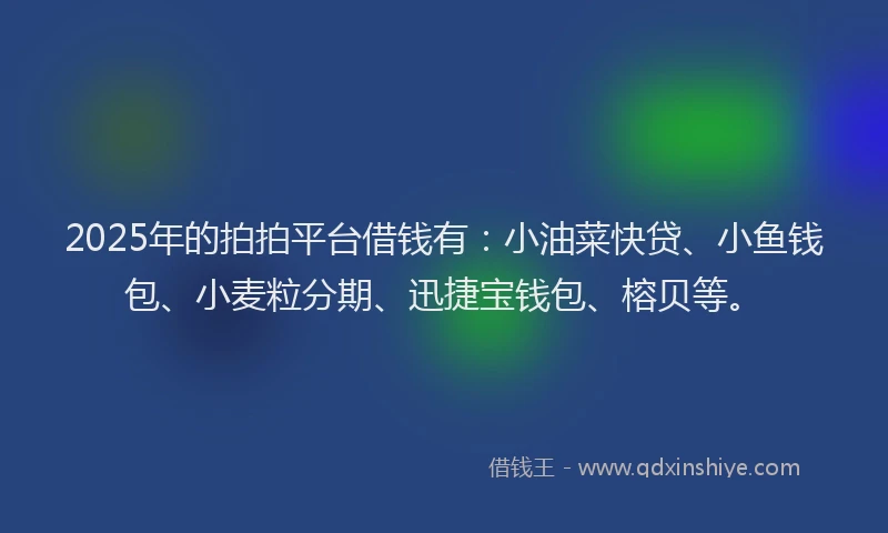 2025年的拍拍平台借钱有：小油菜快贷、小鱼钱包、小麦粒分期、迅捷宝钱包、榕贝等。