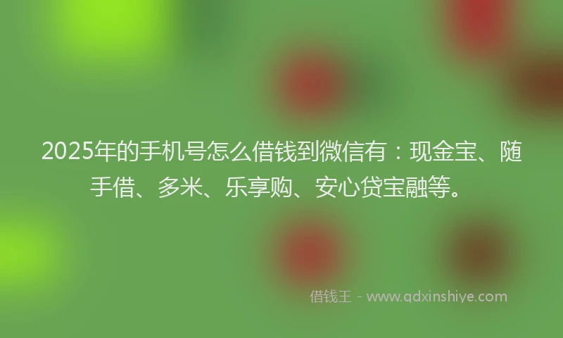 2025年的手机号怎么借钱到微信有：现金宝、随手借、多米、乐享购、安心贷宝融等。