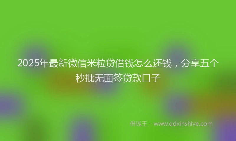 2025年最新微信米粒贷借钱怎么还钱，分享五个秒批无面签贷款口子