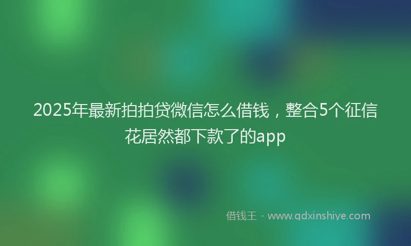 2025年最新拍拍贷微信怎么借钱，整合5个征信花居然都下款了的app