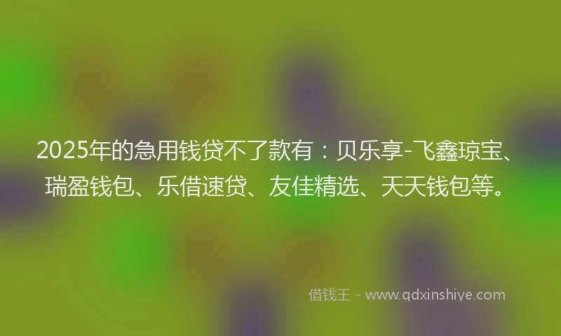 2025年的急用钱贷不了款有：贝乐享-飞鑫琼宝、瑞盈钱包、乐借速贷、友佳精选、天天钱包等。