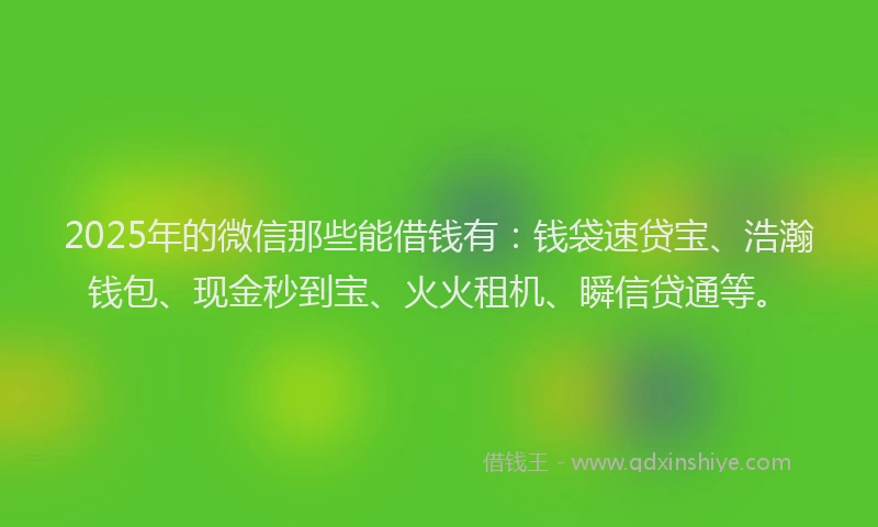 2025年的微信那些能借钱有：钱袋速贷宝、浩瀚钱包、现金秒到宝、火火租机、瞬信贷通等。