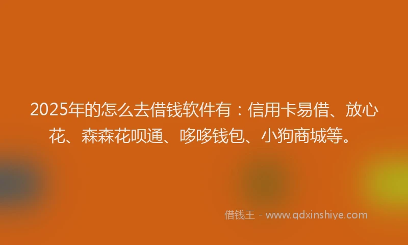 2025年的怎么去借钱软件有：信用卡易借、放心花、森森花呗通、哆哆钱包、小狗商城等。