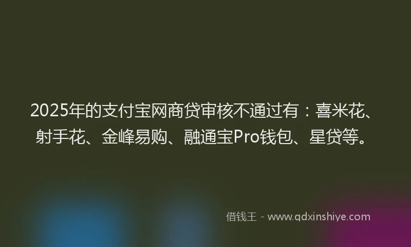2025年的支付宝网商贷审核不通过有：喜米花、射手花、金峰易购、融通宝Pro钱包、星贷等。