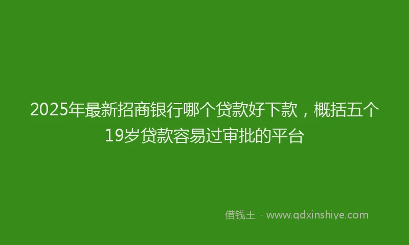 2025年最新招商银行哪个贷款好下款，概括五个19岁贷款容易过审批的平台