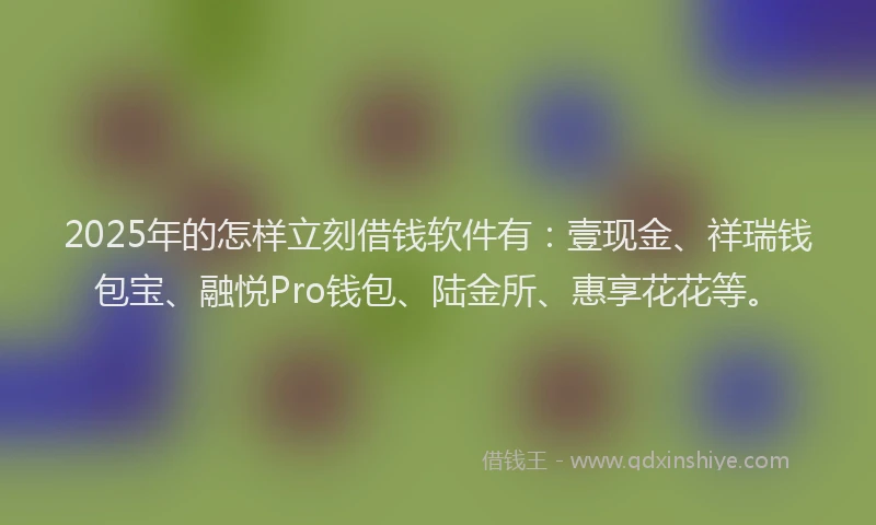 2025年的怎样立刻借钱软件有：壹现金、祥瑞钱包宝、融悦Pro钱包、陆金所、惠享花花等。