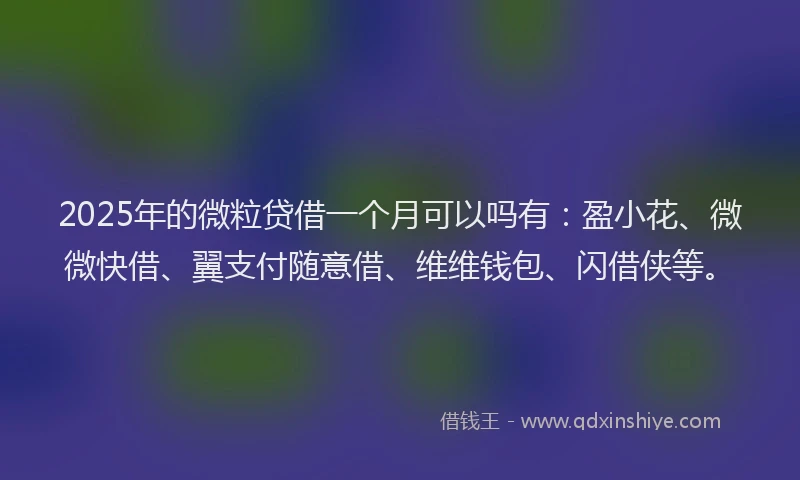 2025年的微粒贷借一个月可以吗有：盈小花、微微快借、翼支付随意借、维维钱包、闪借侠等。