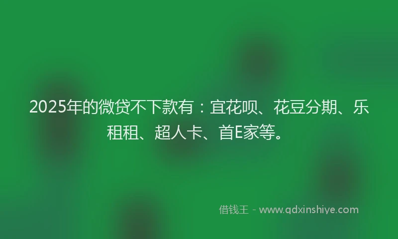2025年的微贷不下款有：宜花呗、花豆分期、乐租租、超人卡、首E家等。
