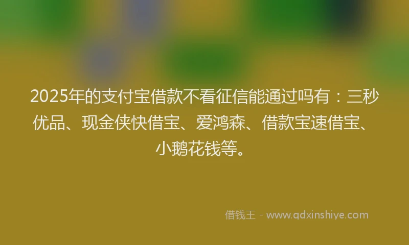 2025年的支付宝借款不看征信能通过吗有：三秒优品、现金侠快借宝、爱鸿森、借款宝速借宝、小鹅花钱等。