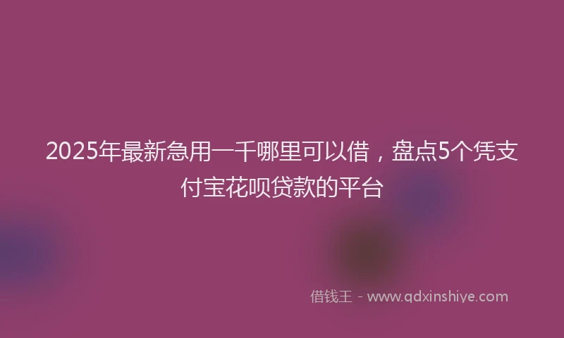 2025年最新急用一千哪里可以借，盘点5个凭支付宝花呗贷款的平台