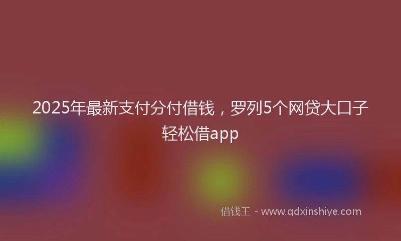 2025年最新支付分付借钱，罗列5个网贷大口子轻松借app