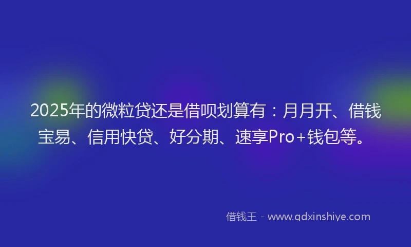 2025年的微粒贷还是借呗划算有：月月开、借钱宝易、信用快贷、好分期、速享Pro+钱包等。