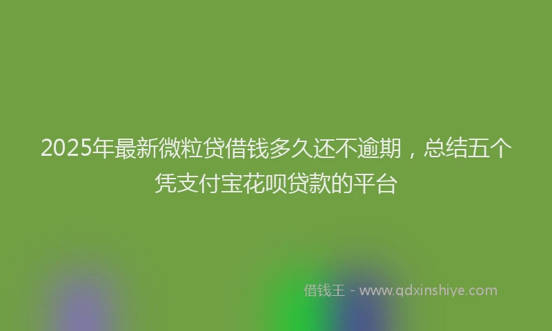 2025年最新微粒贷借钱多久还不逾期，总结五个凭支付宝花呗贷款的平台