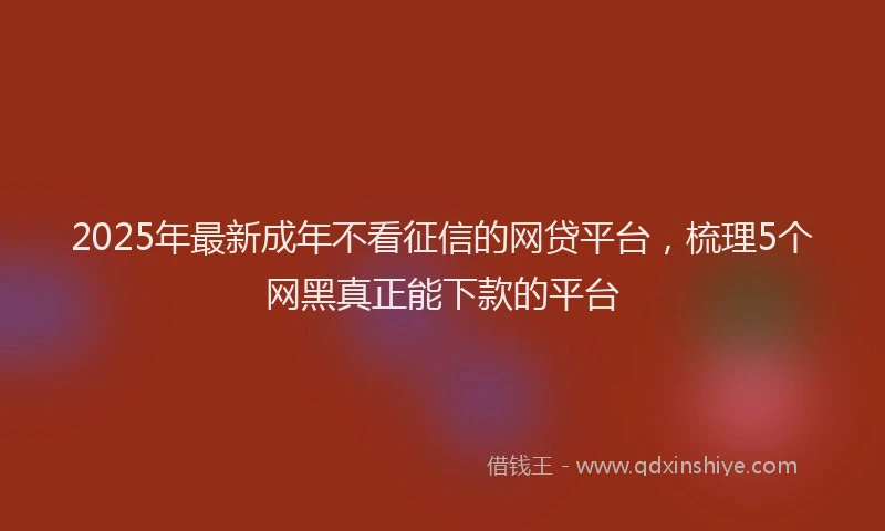 2025年最新成年不看征信的网贷平台，梳理5个网黑真正能下款的平台