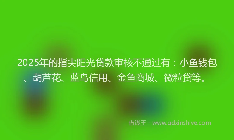 2025年的指尖阳光贷款审核不通过有：小鱼钱包、葫芦花、蓝鸟信用、金鱼商城、微粒贷等。