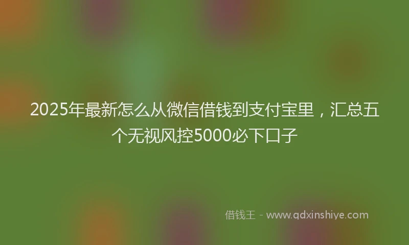 2025年最新怎么从微信借钱到支付宝里，汇总五个无视风控5000必下口子