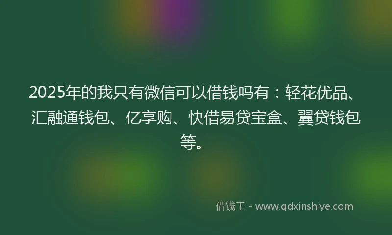 2025年的我只有微信可以借钱吗有：轻花优品、汇融通钱包、亿享购、快借易贷宝盒、翼贷钱包等。