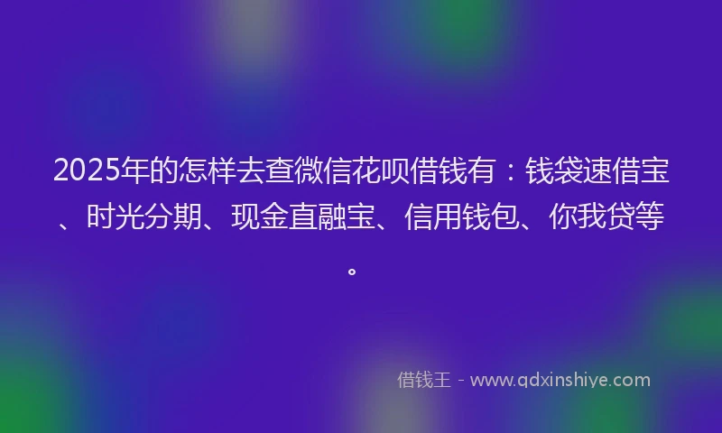 2025年的怎样去查微信花呗借钱有：钱袋速借宝、时光分期、现金直融宝、信用钱包、你我贷等。
