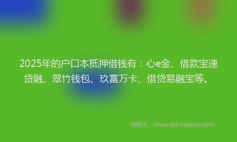 2025年的户口本抵押借钱有：心e金、借款宝速贷融、翠竹钱包、玖富万卡、借贷易融宝等。