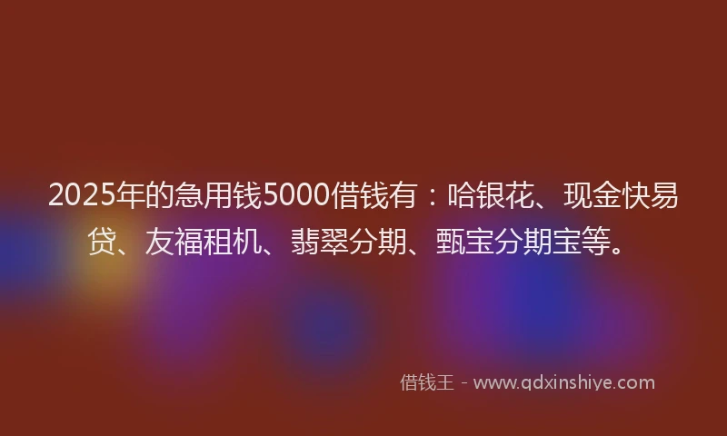 2025年的急用钱5000借钱有：哈银花、现金快易贷、友福租机、翡翠分期、甄宝分期宝等。
