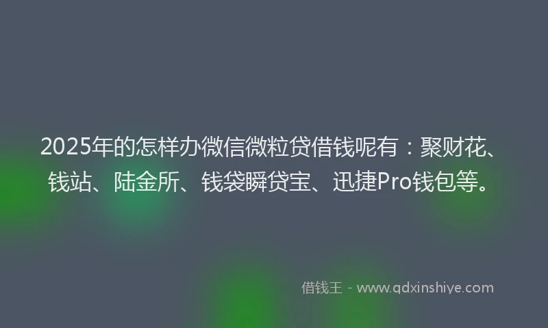 2025年的怎样办微信微粒贷借钱呢有：聚财花、钱站、陆金所、钱袋瞬贷宝、迅捷Pro钱包等。