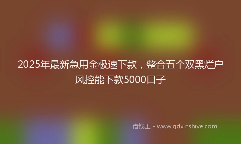 2025年最新急用金极速下款，整合五个双黑烂户风控能下款5000口子