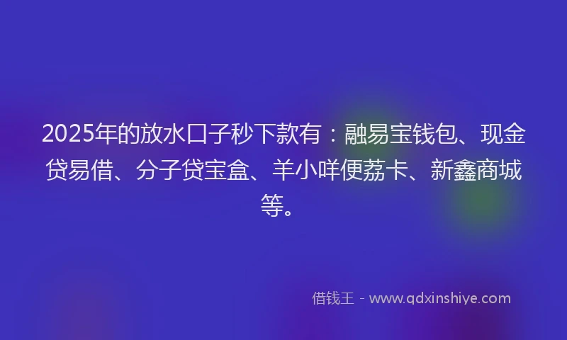 2025年的放水口子秒下款有：融易宝钱包、现金贷易借、分子贷宝盒、羊小咩便荔卡、新鑫商城等。