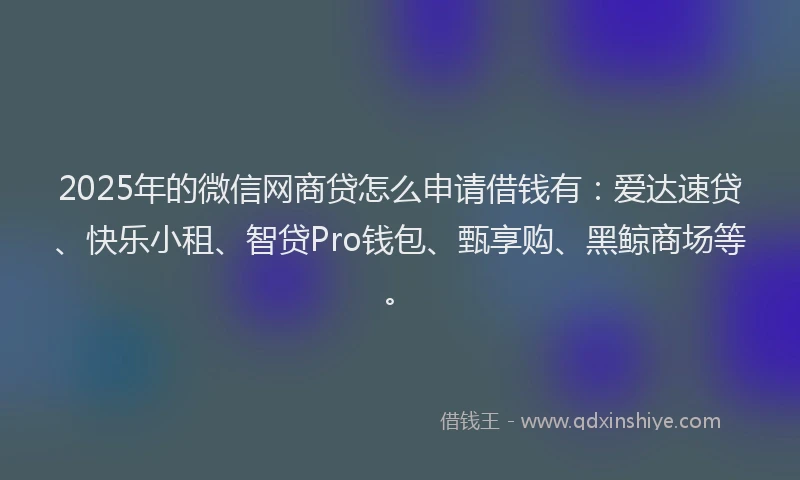 2025年的微信网商贷怎么申请借钱有：爱达速贷、快乐小租、智贷Pro钱包、甄享购、黑鲸商场等。