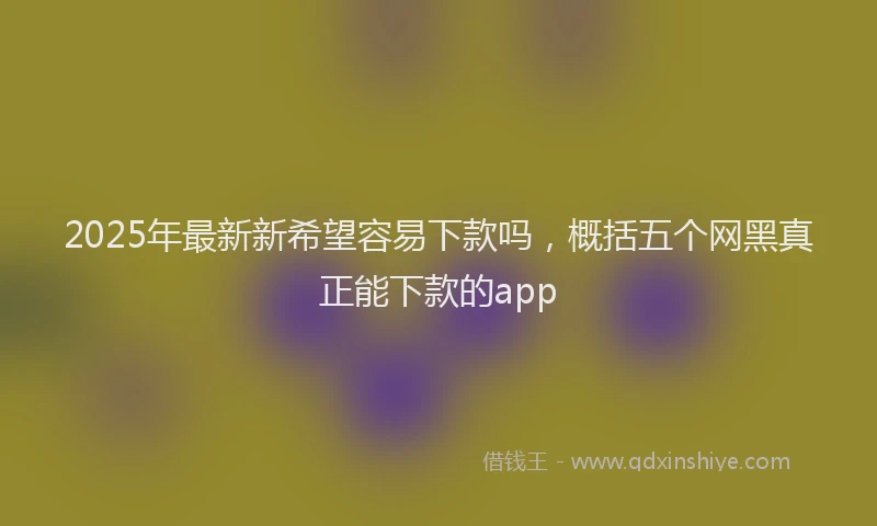 2025年最新新希望容易下款吗，概括五个网黑真正能下款的app