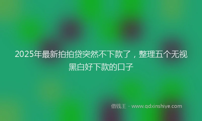 2025年最新拍拍贷突然不下款了，整理五个无视黑白好下款的口子