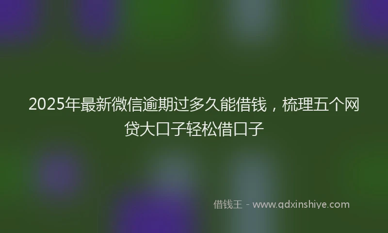 2025年最新微信逾期过多久能借钱，梳理五个网贷大口子轻松借口子