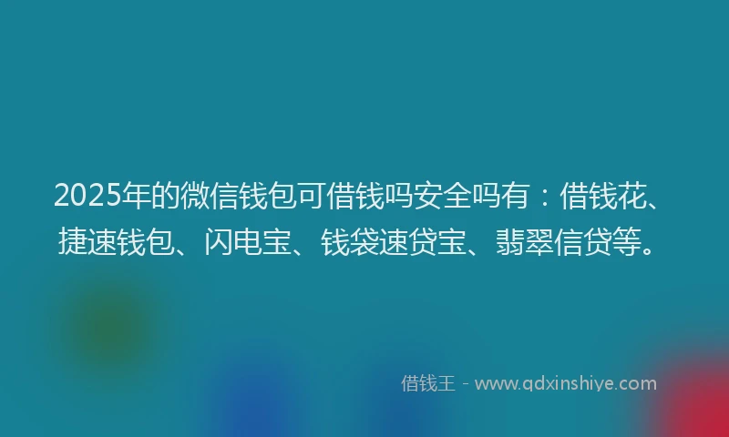 2025年的微信钱包可借钱吗安全吗有：借钱花、捷速钱包、闪电宝、钱袋速贷宝、翡翠信贷等。