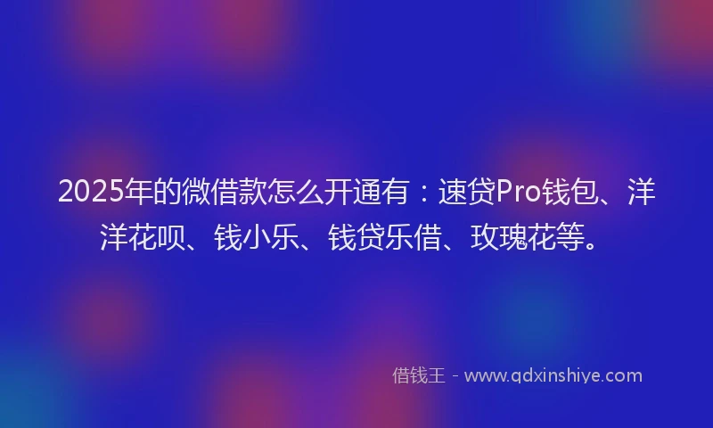 2025年的微借款怎么开通有：速贷Pro钱包、洋洋花呗、钱小乐、钱贷乐借、玫瑰花等。