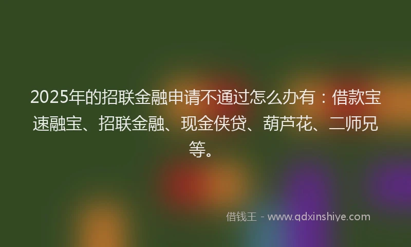 2025年的招联金融申请不通过怎么办有：借款宝速融宝、招联金融、现金侠贷、葫芦花、二师兄等。