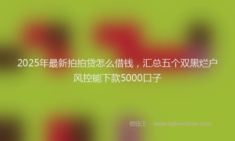 2025年最新拍拍贷怎么借钱，汇总五个双黑烂户风控能下款5000口子