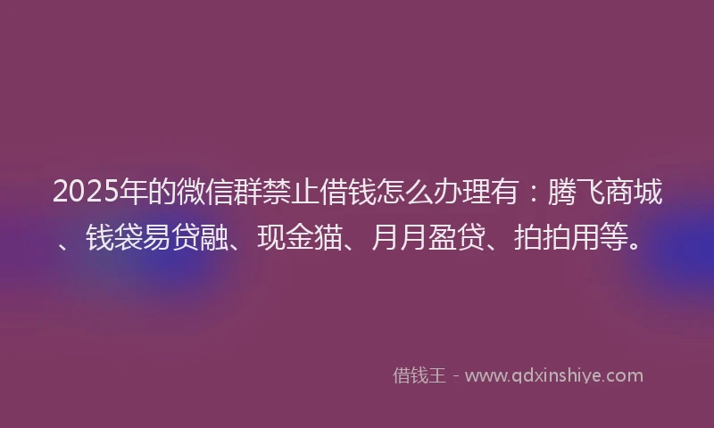 2025年的微信群禁止借钱怎么办理有：腾飞商城、钱袋易贷融、现金猫、月月盈贷、拍拍用等。