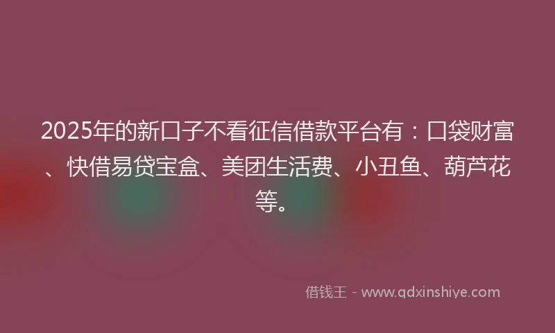 2025年的新口子不看征信借款平台有：口袋财富、快借易贷宝盒、美团生活费、小丑鱼、葫芦花等。