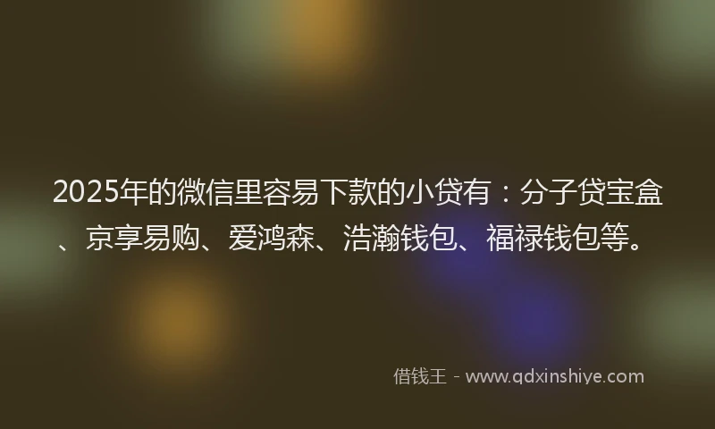 2025年的微信里容易下款的小贷有：分子贷宝盒、京享易购、爱鸿森、浩瀚钱包、福禄钱包等。