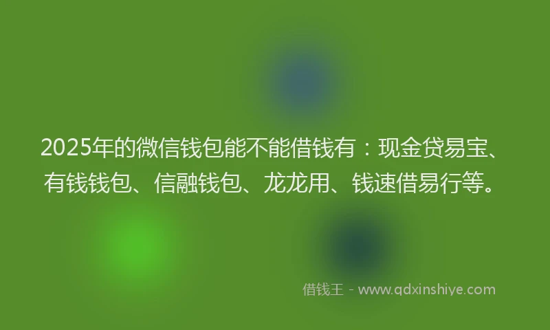 2025年的微信钱包能不能借钱有：现金贷易宝、有钱钱包、信融钱包、龙龙用、钱速借易行等。