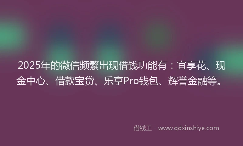 2025年的微信频繁出现借钱功能有：宜享花、现金中心、借款宝贷、乐享Pro钱包、辉誉金融等。