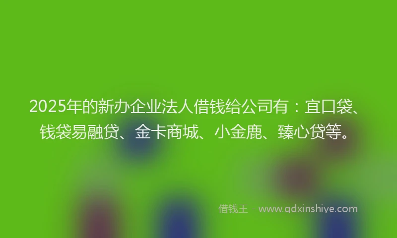 2025年的新办企业法人借钱给公司有：宜口袋、钱袋易融贷、金卡商城、小金鹿、臻心贷等。
