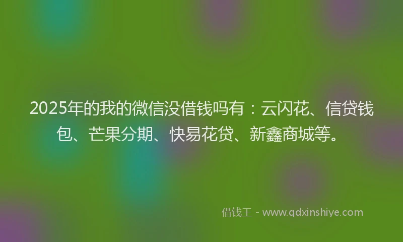 2025年的我的微信没借钱吗有：云闪花、信贷钱包、芒果分期、快易花贷、新鑫商城等。