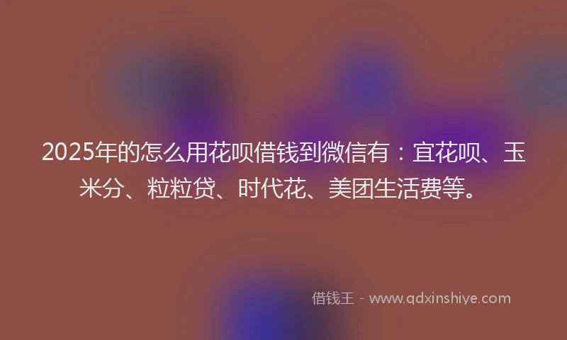 2025年的怎么用花呗借钱到微信有：宜花呗、玉米分、粒粒贷、时代花、美团生活费等。