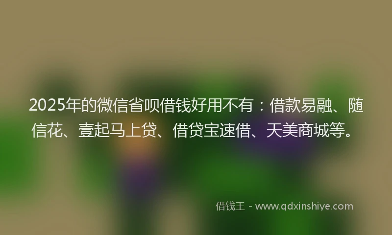 2025年的微信省呗借钱好用不有：借款易融、随信花、壹起马上贷、借贷宝速借、天美商城等。