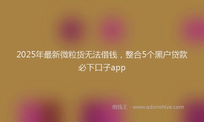 2025年最新微粒货无法借钱，整合5个黑户贷款必下口子app